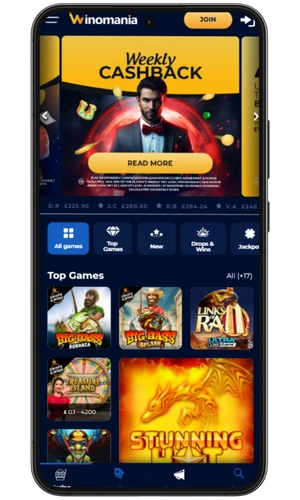 Screenshot of the Winomania official website homepage